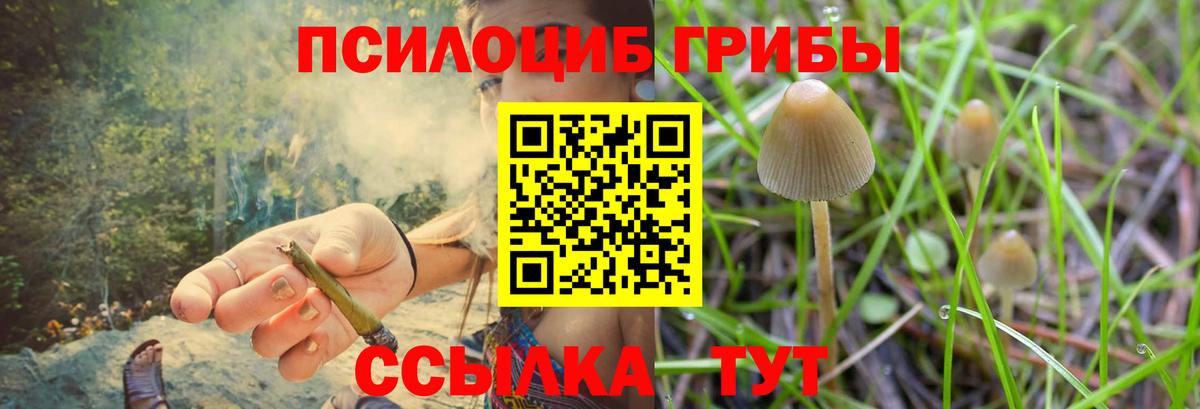Псилоцибиновые грибы Cubensis Симферополь